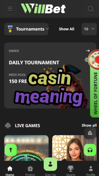 Casin Meaning - Understanding Casino Terminology-www.bdqngd.com