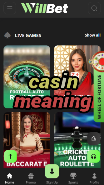 Casin Meaning - Understanding Casino Terminology-www.bdqngd.com