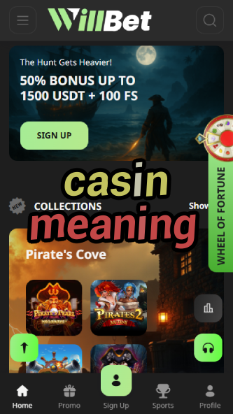 Casin Meaning - Understanding Casino Terminology-www.bdqngd.com